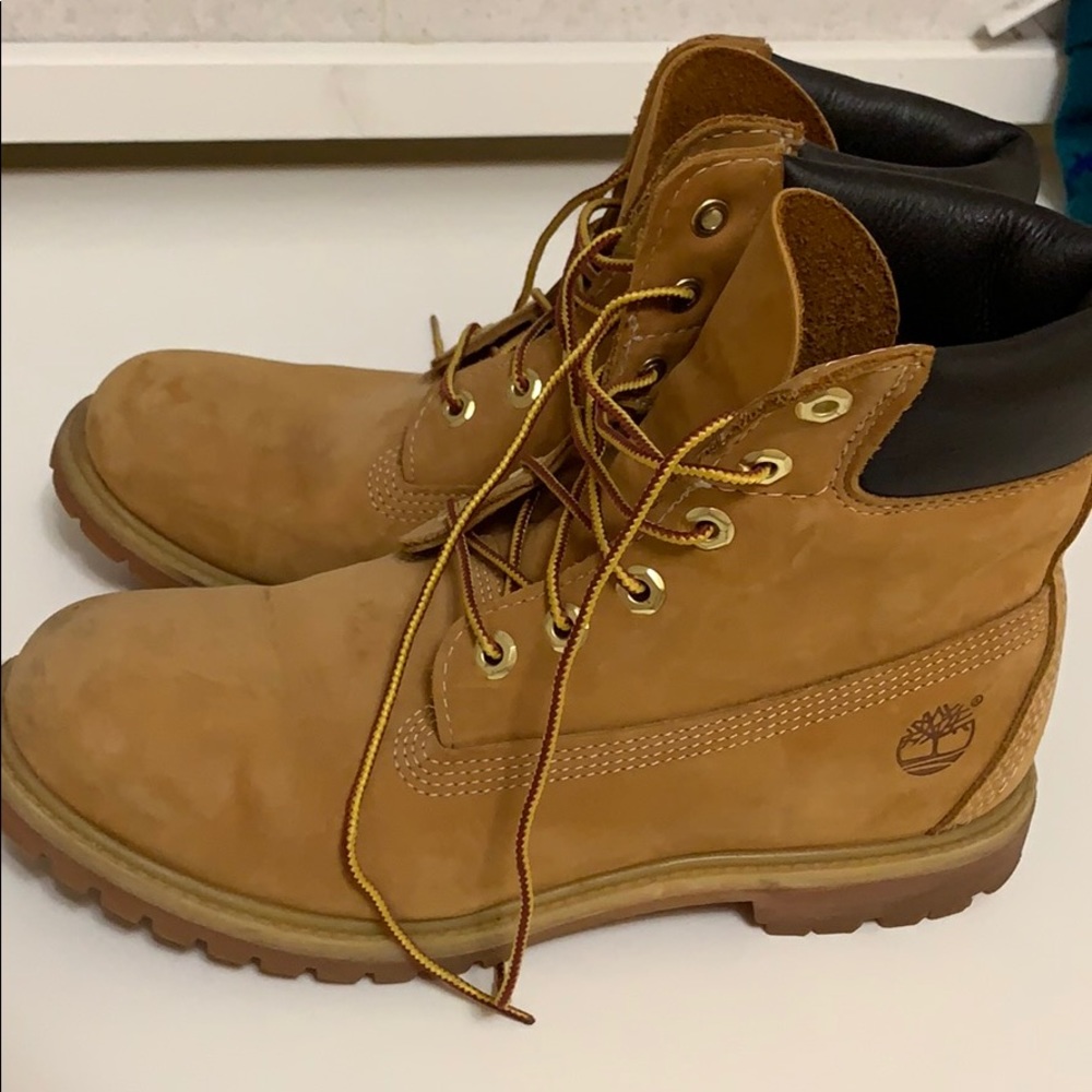 Women’s Timberland 6” Premium Waterproof Boots